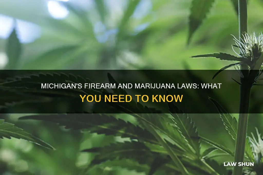 what are the firearm laws with pot in michigan