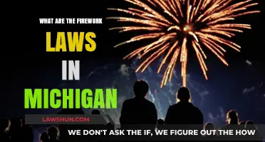 Michigan Firework Laws: What You Need to Know Before Celebrating