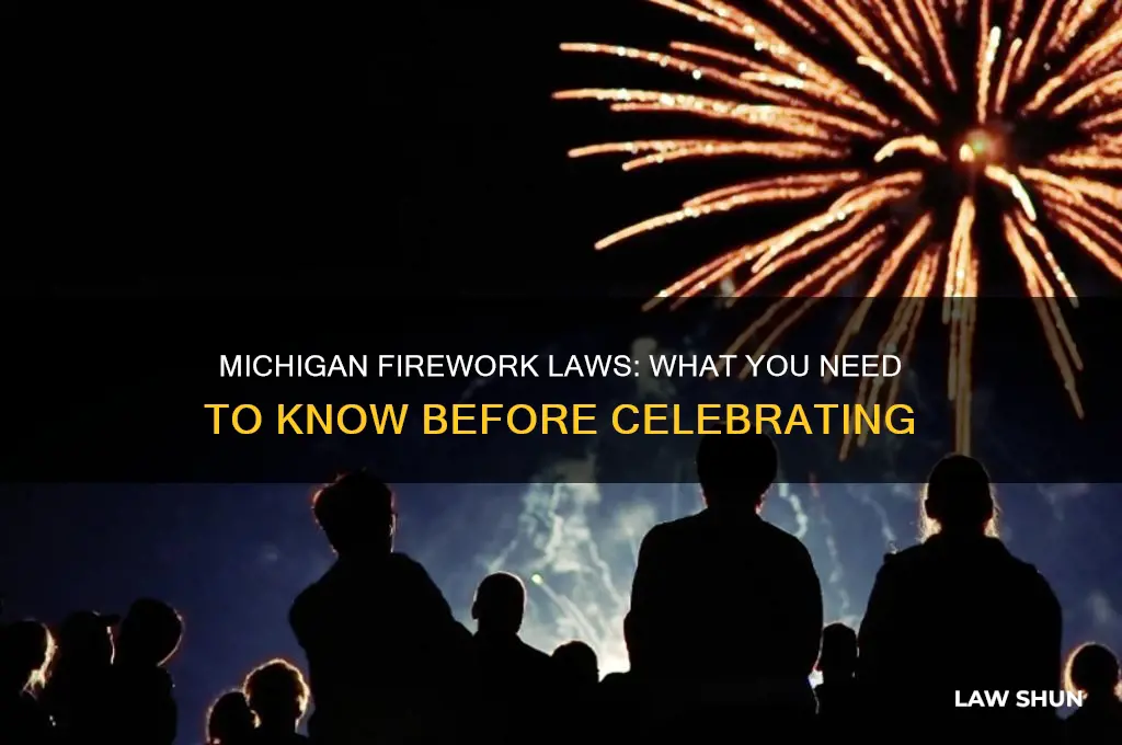what are the firework laws in michigan