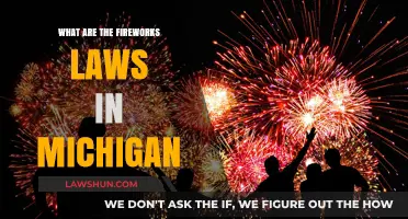 Michigan Fireworks Laws: What You Need to Know Before Celebrating