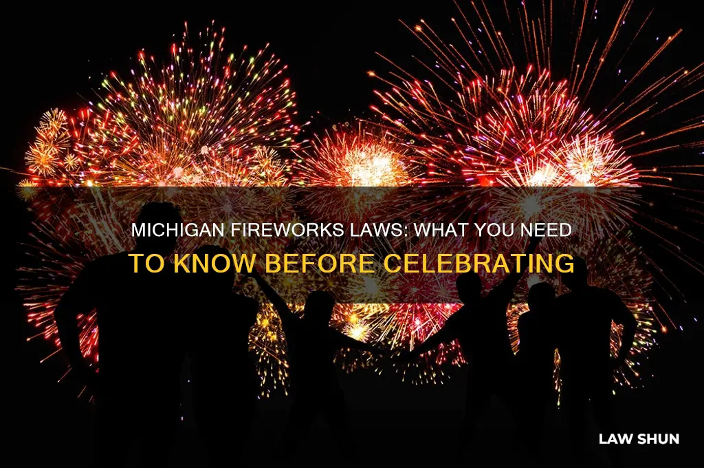 what are the fireworks laws in michigan