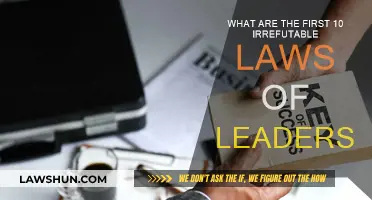 Leadership Laws: 10 Irrefutable Rules for Effective Guidance