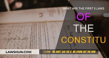 Exploring the Constitution: First Five Laws