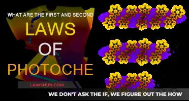 Understanding the Laws of Photochemistry: Grooves and Grotthuss