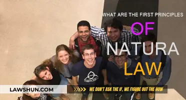 Natural Law's First Principles: The Foundation of Morality