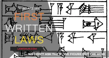 The Earliest Written Laws: A Historical Perspective
