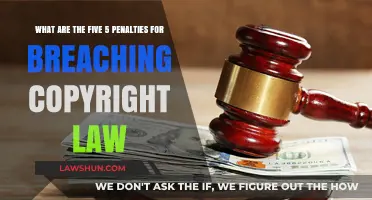Understanding Copyright Law: 5 Severe Penalties for Breaching Creative Rights