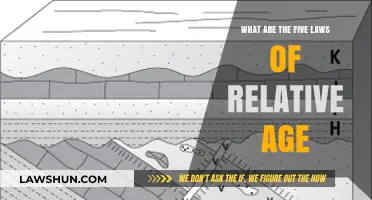 Understanding the Five Laws of Relative Age in Geology
