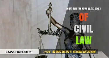 Understanding the Four Fundamental Types of Civil Law