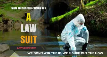Key Criteria for Filing a Successful Lawsuit: What You Need to Know