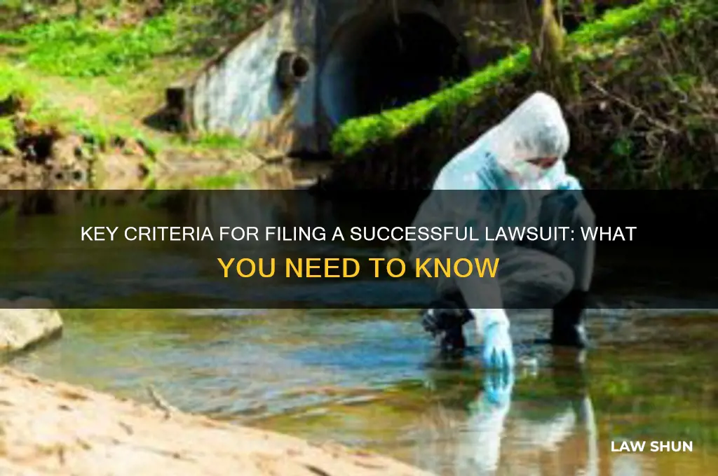what are the four criteria for a law suit