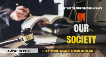Understanding the Four Key Functions of Laws in Society