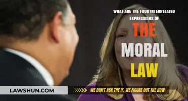 Exploring the Four Interrelated Expressions of the Moral Law