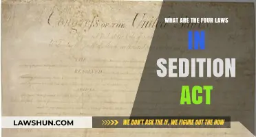 Understanding the Four Key Laws in the Sedition Act