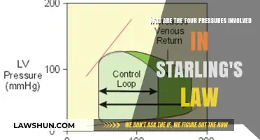 Understanding Starling's Law: Four Key Pressures Shaping Cardiac Function