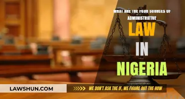 Understanding Nigeria's Administrative Law: Four Key Sources Explained