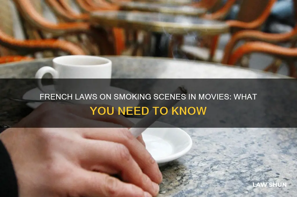 what are the french laws on movies with smoking scenes