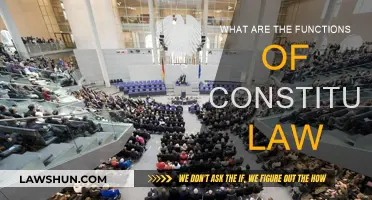 Constitutional Law: Functions and Their Importance