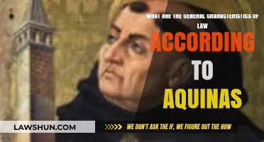 Aquinas' Legal Philosophy: Exploring the Core Characteristics of Law
