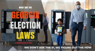 Understanding Georgia's Election Laws: Key Changes and Voter Impact