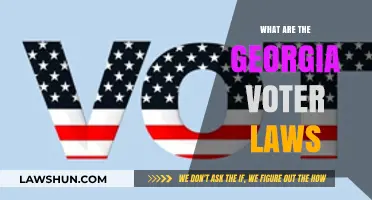 Understanding Georgia's Voter Laws: Key Changes and Impact on Elections