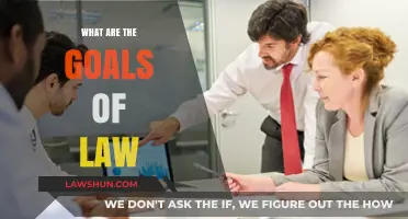 Understanding the Fundamental Objectives of Law: A Comprehensive Guide