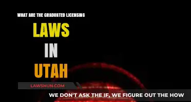 Utah's Graduated Licensing Laws: What You Need to Know