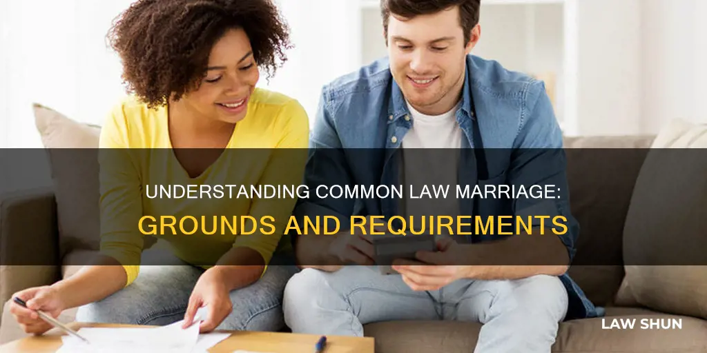 what are the grounds for common law marrige