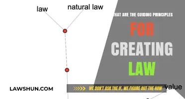Guiding Principles for Creating Effective Law