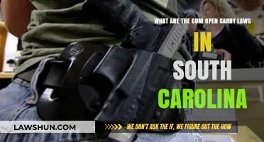 South Carolina's Open Carry Laws: Understanding Gun Rights and Regulations