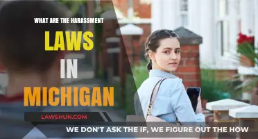 Understanding Michigan's Harassment Laws: Rights, Protections, and Legal Recourse
