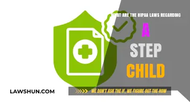 HIPAA Laws and Stepchildren: Understanding Privacy Rights and Responsibilities