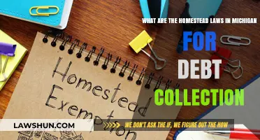 Understanding Michigan Homestead Laws for Debt Collection Protection