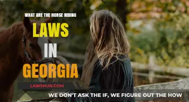 Georgia's Horse Riding Laws: Essential Rules for Equestrians to Know
