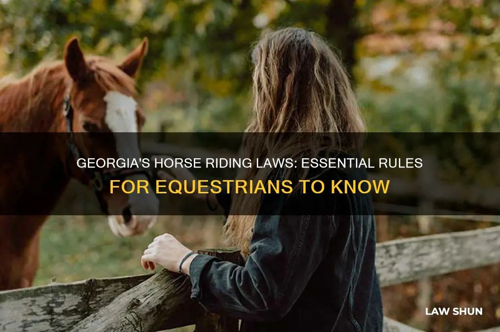 what are the horse riding laws in georgia