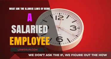 Illinois Salaried Employee Laws: Understanding Your Rights and Protections