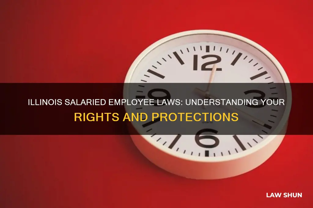 what are the illinois laws of being a salaried employee