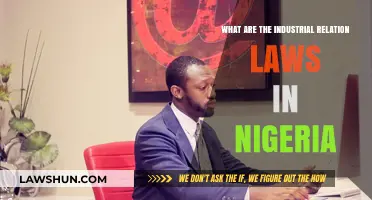 Understanding Nigeria's Industrial Relation Laws: Key Provisions and Compliance