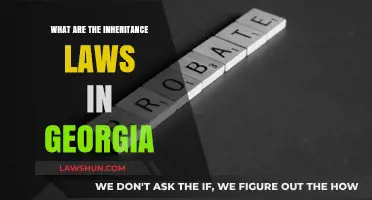 Understanding Georgia's Inheritance Laws: A Comprehensive Guide for Heirs