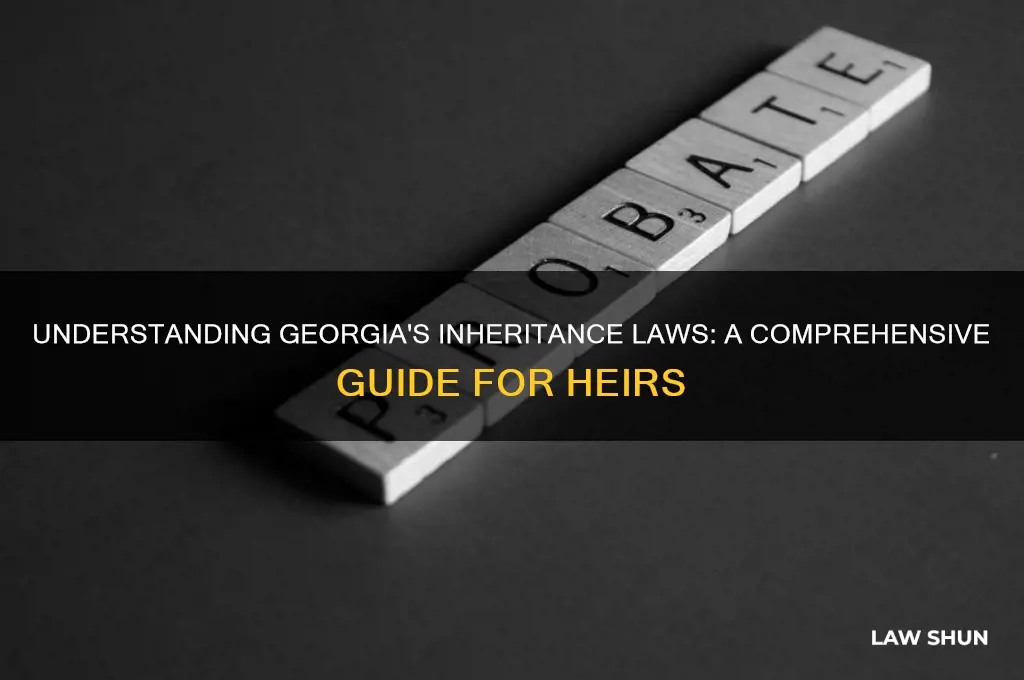 what are the inheritance laws in georgia