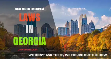 Understanding Georgia's Inheritance Laws: A Comprehensive Guide for Heirs