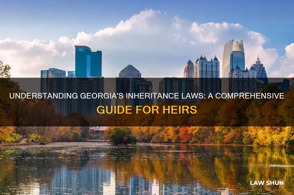 what are the inhertiance laws in georgia