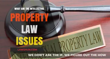 Navigating Intellectual Property Law: Key Issues and Challenges Explained