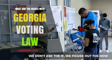 Georgia's Voting Law: Unpacking the Controversies and Voter Suppression Concerns