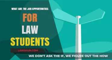 Exploring Diverse Career Paths for Aspiring Law Students