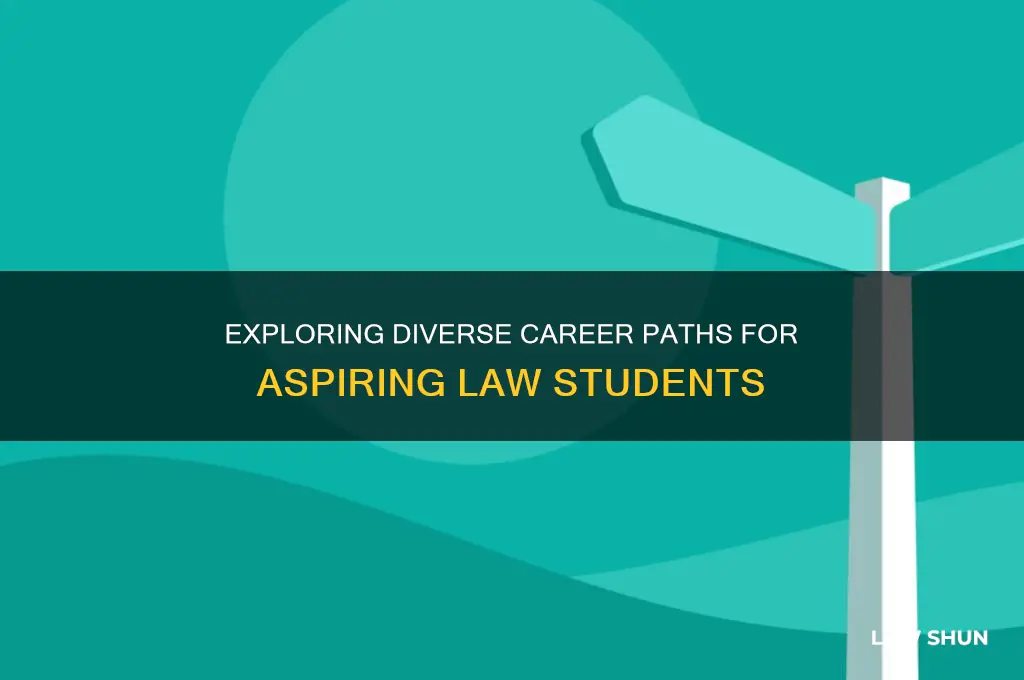 what are the job opportunities for law students