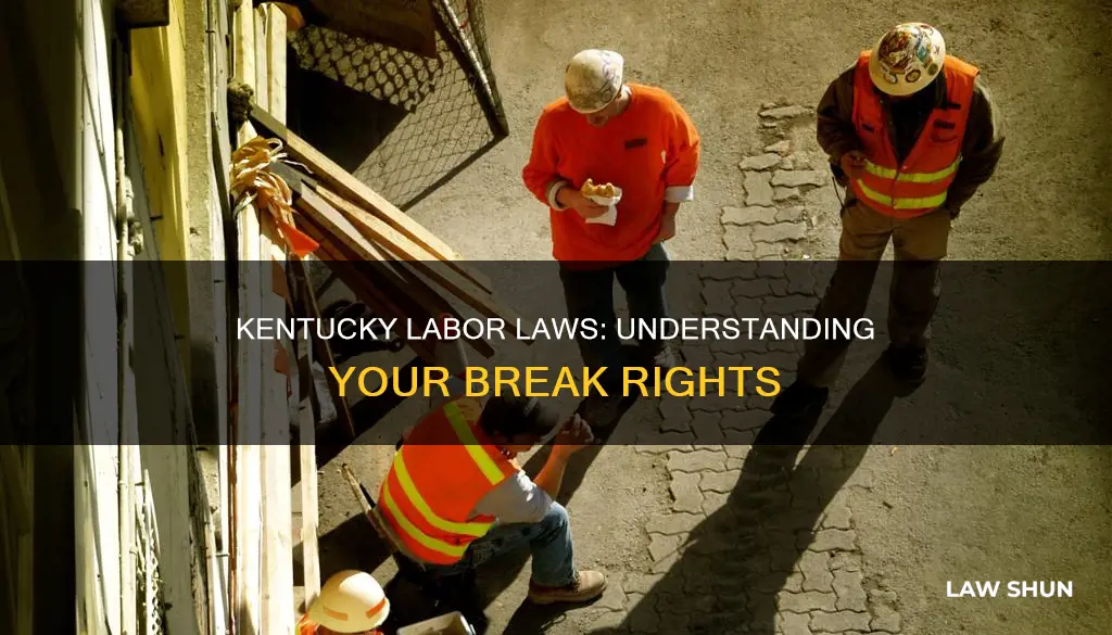 what are the kentucky labor laws for breaks