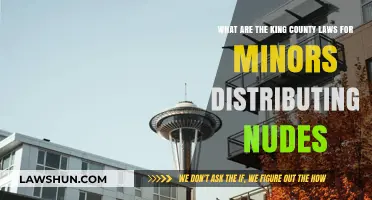 King County Minors: Legal Consequences of Distributing Nudes Explained