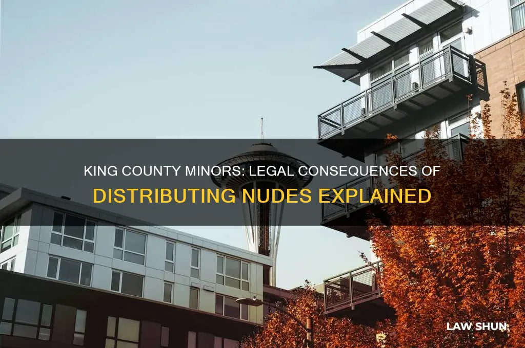 what are the king county laws for minors distributing nudes