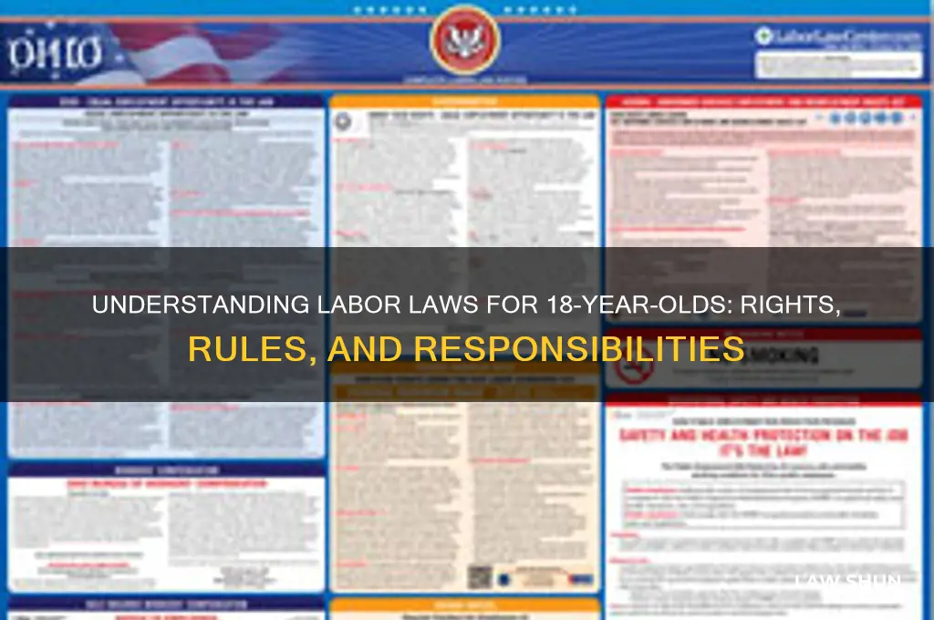 what are the labor laws for 18 year olds
